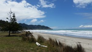 10998408_10203469491753792_517476649825213858_n