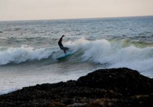 11813363_10204391169715165_9074755161200575616_n