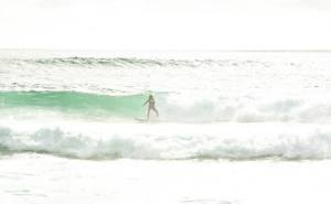 11836818_10204391170235178_8493826870915588208_n